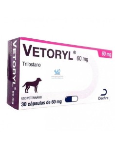 VETORYL 60 MG  30 CAPSULAS 