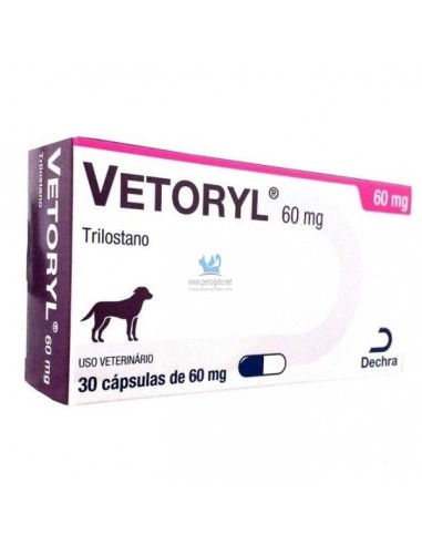 VETORYL 60 MG  30 CAPSULAS 