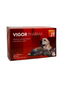 VIGOR PHARMA 60 C 