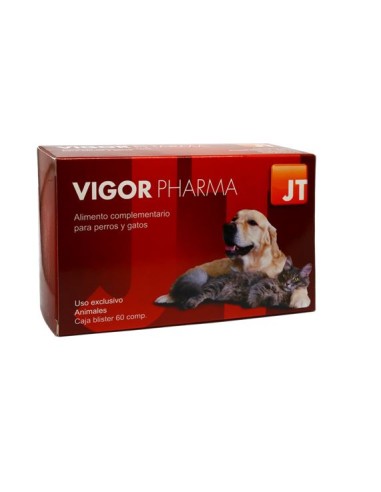 VIGOR PHARMA 60 C 