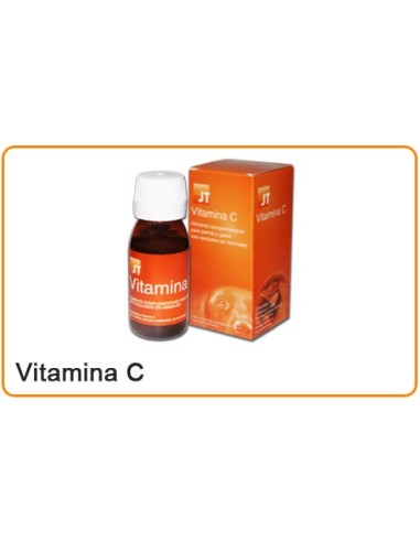 VITAMINA C 55 ML JT 