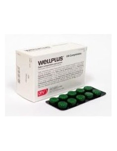 WELLPLUS 100 COMP. MASTICABLES 