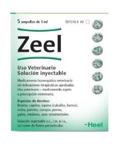 ZEEL 5X5 ML