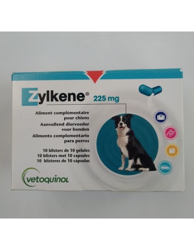 ZYLKENE 225 MG 100 CPS. ENVASE CLINICO 