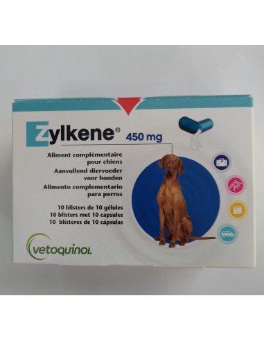 ZYLKENE 450 MG 100 CPS ENVASE CLINICO