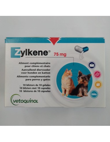 ZYLKENE 75 MG 100 CPS. ENVASE CLINICO 