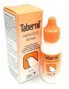 TABERNIL HEPATICO-RENAL 20 ML 