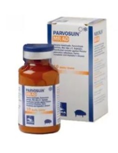 PARVOSUIN MR-AD 10 DOSIS