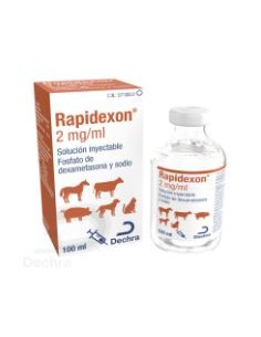 RAPIDEXON 2 MG/ML 100 ML 