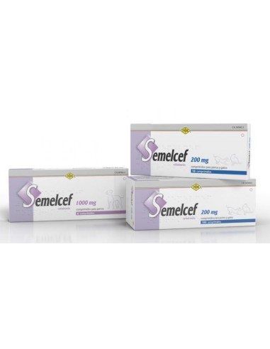 SEMELCEF 1000 MG 6 COMP. 