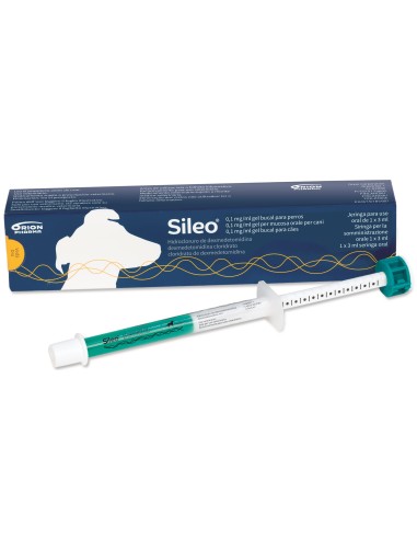 SILEO GEL BUCAL 0,1 mg/ml 3 ML 