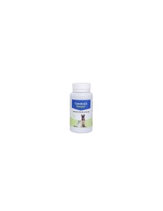 CONDROCIT STANVET 60 COMP.