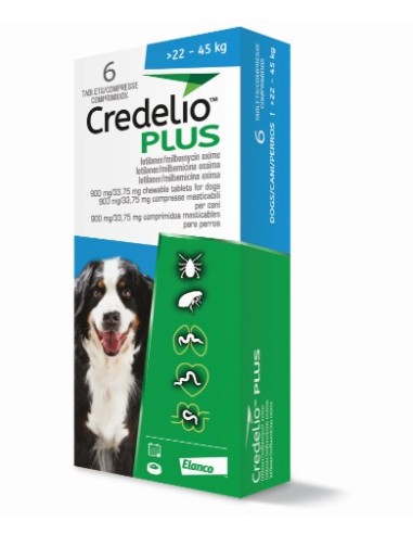 CREDELIO PLUS 900MG  22 - 45 KG  6 COMP. 