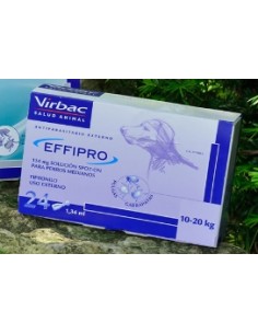 EFFIPRO PERROS 10- 20 KG 24 PIP