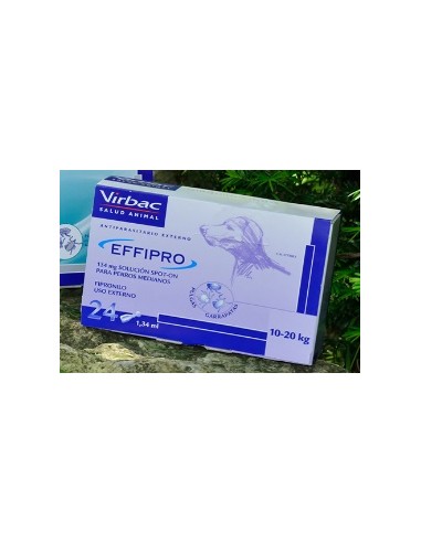 EFFIPRO PERROS 10- 20 KG 24 PIP 