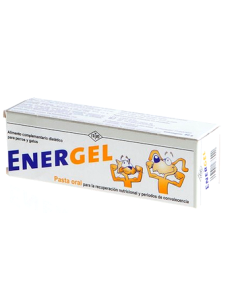 ENERGEL PASTA ORAL 