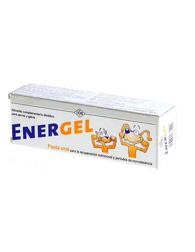 ENERGEL PASTA ORAL 