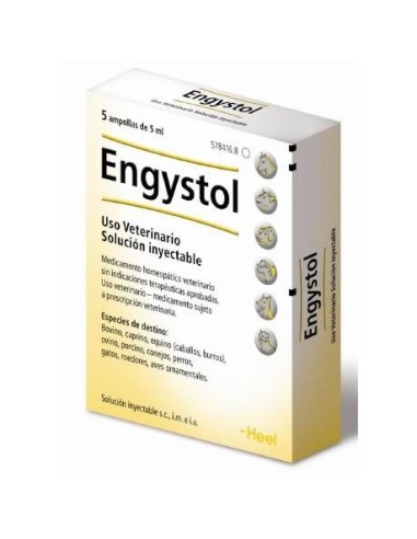 ENGYSTOL 5x5ML 