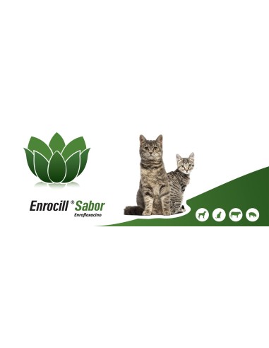 ENROCILL SABOR 50 MG 100 Comp 