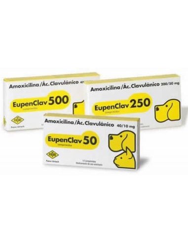 EUPENCLAV 500MG 10 COMP 