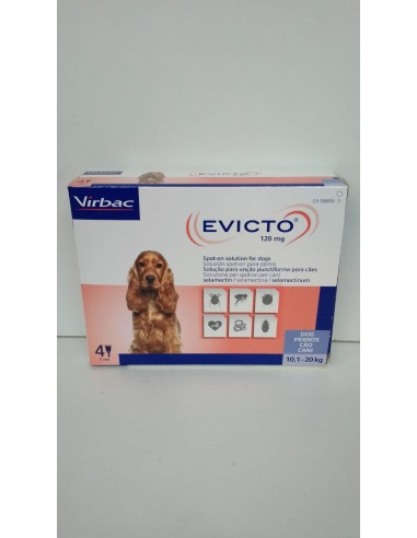 EVICTO SPOT ON PERRO 10,1-20 KG  120 MG  4PIP 