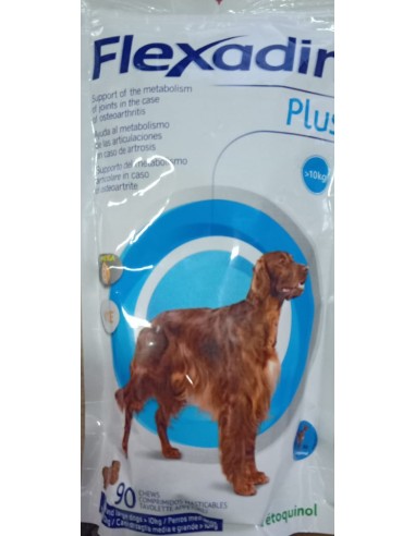 FLEXADIN PLUS MAXI (R.GRANDES) 90 COMP 