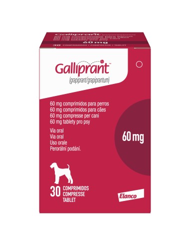 GALLIPRANT 60 MG 30 TABLETAS 13.6-34 Kg