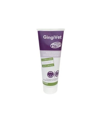 GINGIVET PASTA 100 GRS 