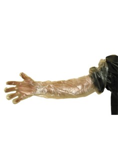 GUANTES EXPLORACION INSEMINACION  100 UDS. JOLLA CABALLOS