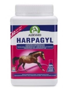 HARPAGYL 900G 