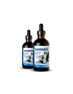 KAMINOX 60 ML 