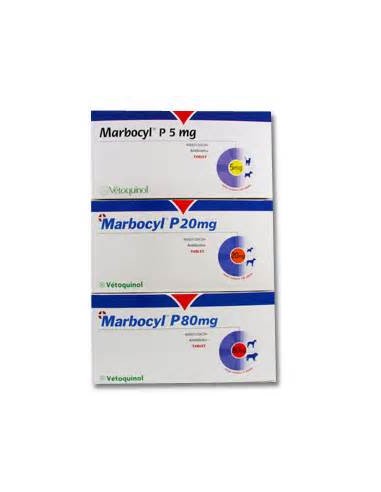 MARBOCYL P 20 MG CLINICO 100 COMP 