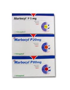 MARBOCYL P 80 MG. CLÍNICO 72 COMP 