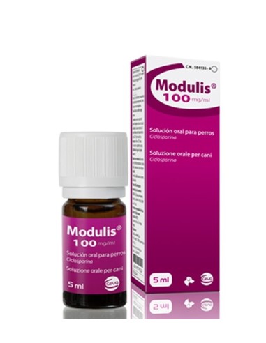 MODULIS 5 ml 100 mg/ml susp.oral 