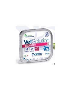 MONGE CANINE RECOVERY 150 G. 24 UDS dieta humeda