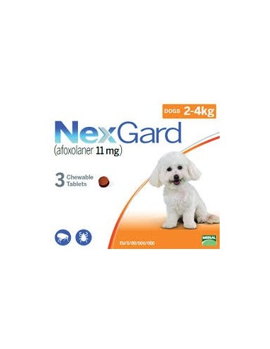 NEXGARD PERROS 2-4KG X 3 CPDS MASTICABLES 