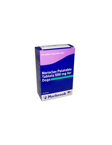 NOROCLAV 500 MG 25 C (Descatalogado)