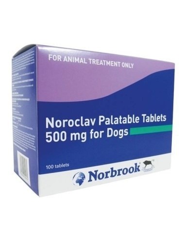 NOROCLAV 500 MG. 100 COMPR. 