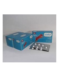 ONSIOR 40 mg ( 2X60 COMP) E.C. 