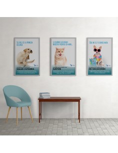  CONOCE CAMPAÑAS SALUD GRUPO VALDELVIRA LLAMA AL 950 258425