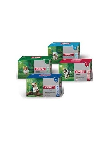 ADVANTIX 24 X 2.5 ML 10-25 KG 24 PIPETAS 