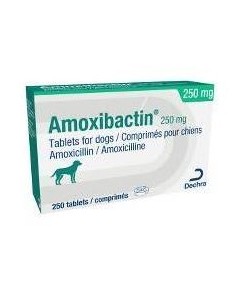 AMOXIBACTIN 250 MG 10 COMP. 