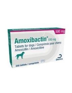 AMOXIBACTIN 500 MG 10 COMP. 