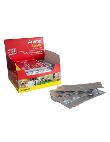 ANIMA STRATH MAGNESIO 360 COMP BLISTER 36X10