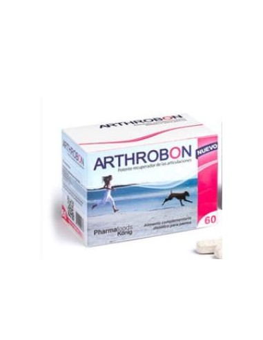ARTHROBON 60 C 