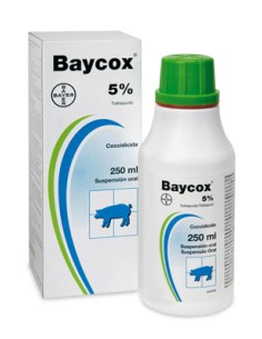 BAYCOX MULTI 5% Susp. ORAL 250 ml 