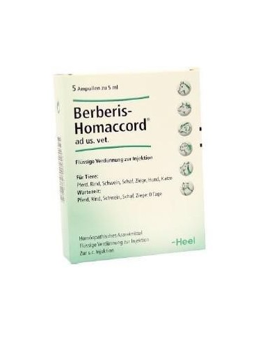 BERBERIS HOMACCORD 5X5 ML 