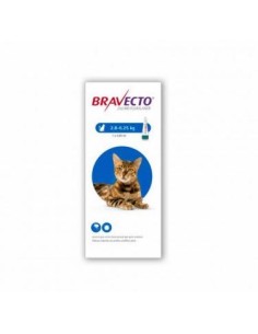 BRAVECTO GATO SPOT-ON 250 MG 1 PIP ( 2.8 A 6.25 KG ) AZUL