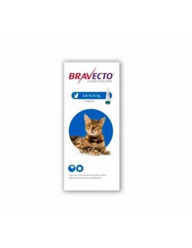 BRAVECTO GATO SPOT-ON 250 MG 1 PIP ( 2.8 A 6.25 KG ) AZUL