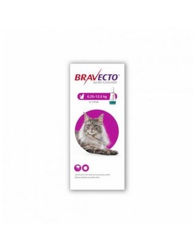 BRAVECTO GATO SPOT-ON 500 MG 1 PIP  ( 6.5 A 12 KG ) MORADO 